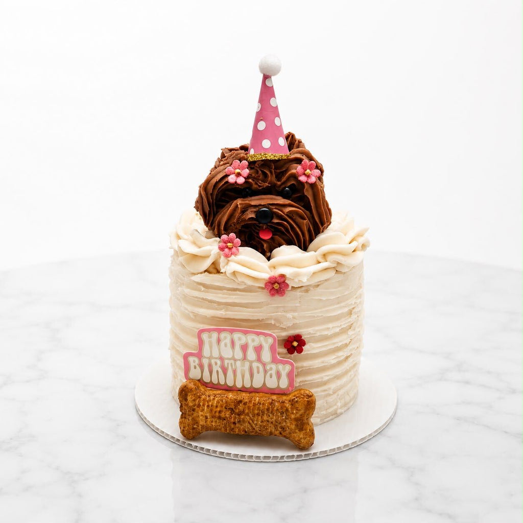 Celebration Cake for Dogs & Cats