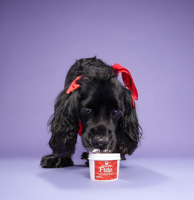 Pet Ice Cream - Pack of 6 (2 oz)