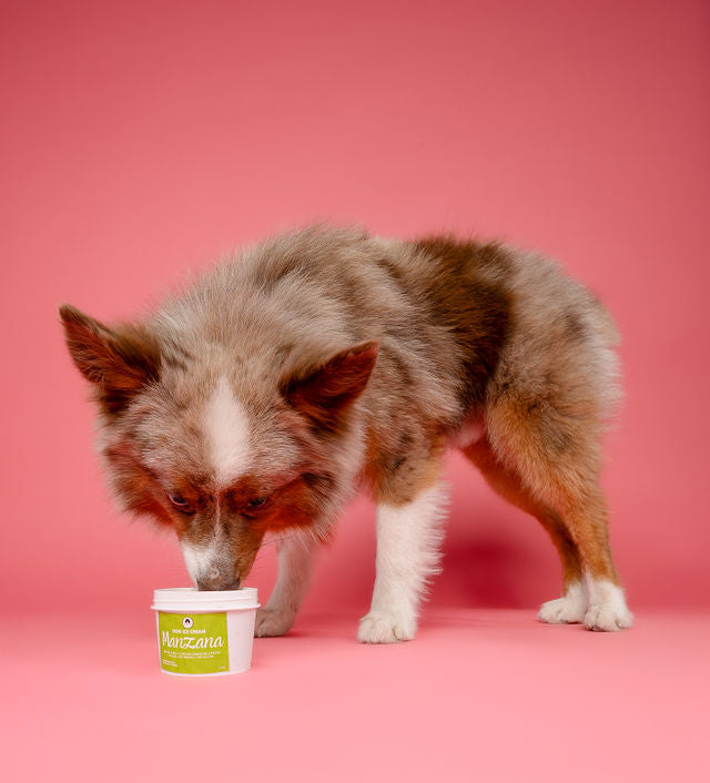 Pet Ice Cream - Pack of 6 (2 oz)