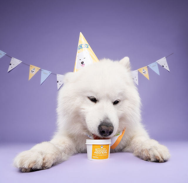 Pet Ice Cream - Pack of 6 (2 oz)
